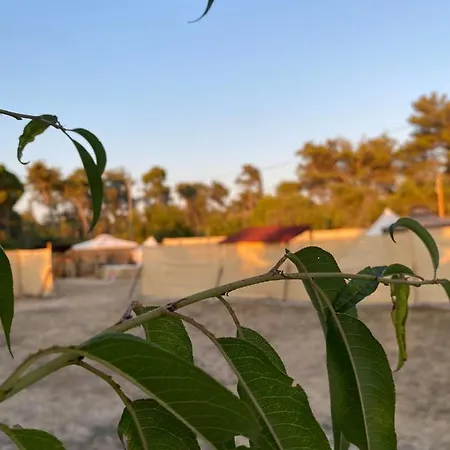 Estera Tent Camping Luxury tent Zadar